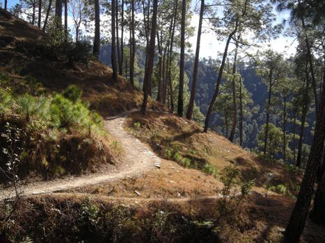 1467701687_1binsar 2.JPG